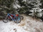kola v zátiší zimního lesa